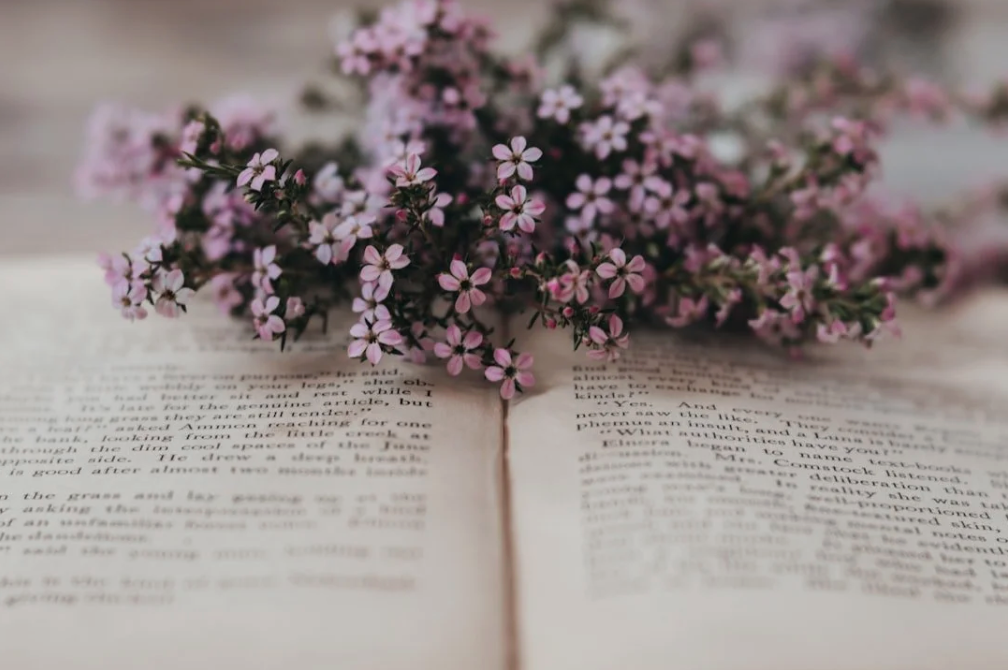 A close up image of an open book with small flowers resting on top