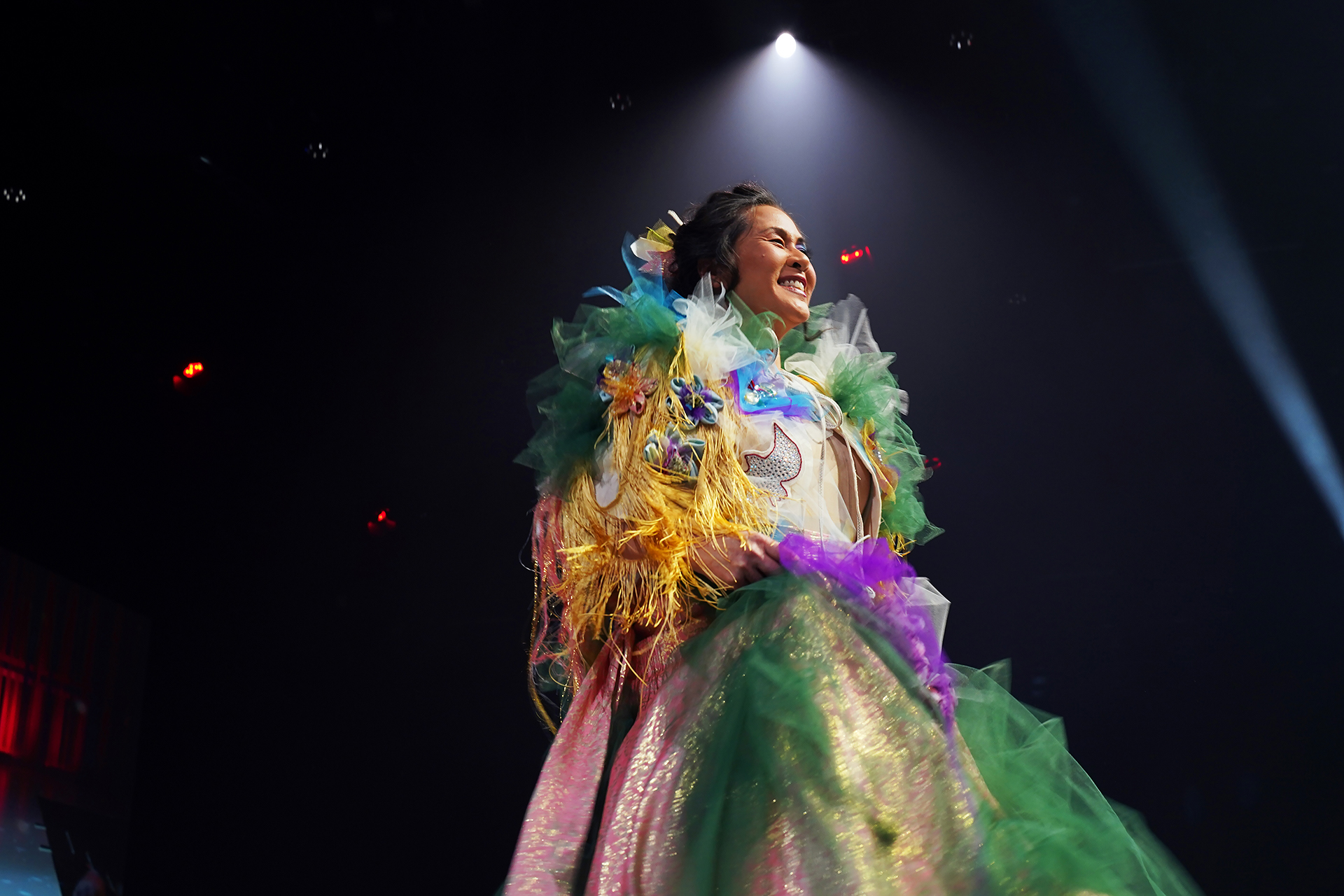 Katherine Cheng models found fashion at the 2025 Art for All Ball.